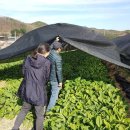 행자농장 이미지