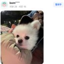 봄봄동물병원 이미지