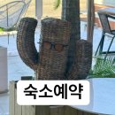 인더시티호스텔 이미지