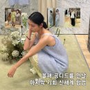 함께해you(일상으로초대) | 공디드디자인 팝업 위시리스트, 가격을 곁들인 생생후기 (feat. 신세계 강남점)