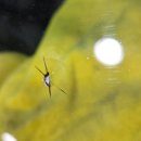 봉동자동차유리 이미지