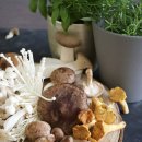 조비뇨기과의원 이미지