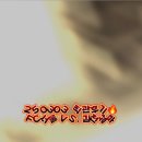 인디언걸 | 250303 FC서울 vs. 김천상무 직관 후기 (동측 H구역)