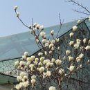 서양미술사 | 대구 간송미술관 특별전 신윤복 미인도 ai체험 전시 데이트