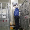 착한총각들 이미지