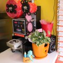 1983 조대점 이미지