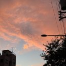 임시저장글 사라진다길래 올리는 적어둔 24년 마무리 글