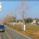 사봉면-2 이미지