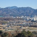 가지리부대 이미지