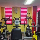 에스라인 휘트니스 이미지