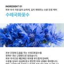 제제스 | 수분크림 제제스 스킨 세이버 크림 후기