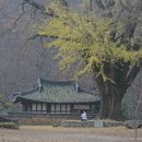 국선도(기체조, 단전호흡, 명상) 이미지