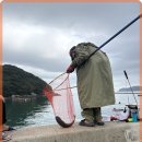 흑진주마리나리조트 이미지