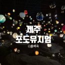 생성공간 | 제주 포도뮤지엄 관람 후기｜우리 이토록 작은 존재들 전시, 기대 이상이었던 감성 공간