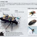 디비리