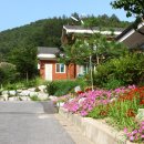 백야자연휴양림 이미지