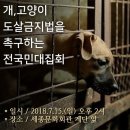 7월 15일 집회 때 팅커벨에서 서명운동을 담당하기로 했습니다. 자원봉사가 더 필요합니다. 이미지