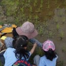 푸른숲유치원 이미지