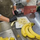 빵빵연대 이미지