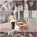 먹고가 티브이데일리