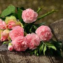 더Florist