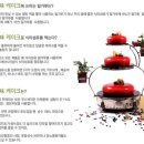 케잌집 이미지