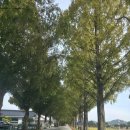 송정카프라자 이미지