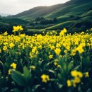 덕풍 2농장 이미지