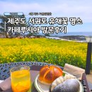 인생카페하모니 | 4월 제주 서귀포 여행 유채꽃 명소 추천 카페루시아 방문후기