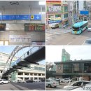 춘천 가볼만한곳 국립춘천박물관 2019 관동팔경특별전 Ⅳ &lt;고성 청간정&gt; ♬