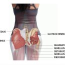 바디밸런스3.0 PT.필라테스 이미지