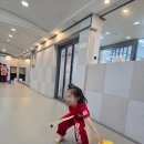 태양태권도장 이미지