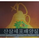 석부작박물관 이미지
