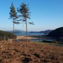 태안바다 이미지