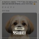 토리에트 | [Review] 대환장 챗지피티, 지브리부터 사람에서 강아지로 환생하기까지 모음.zip