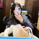 성북-돈암-2026 | 2026년 병오년을 맞이하며