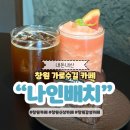 외동반림로248번길 | 창원 가로수길 신상 카페 나인배치커피 내돈내산 실내 애견동반 추천
