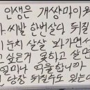 조아라투어 이미지
