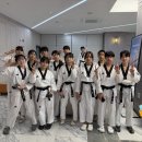 호랑이들 태권도장 이미지