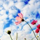 소풍가자 이미지