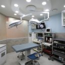 미래동물의료센터 이미지