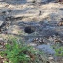 조산목장 이미지