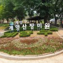 계양산로또 네이버블로그