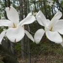 양명여자고등학교 이미지