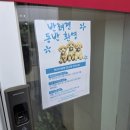 우3동행정복지센터 맞은편 | 장성 카페 태미 솔직후기 애견동반 가능