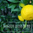 현옥농장 이미지