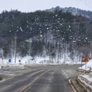 정선군 버들고개 이미지