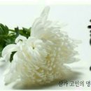 경주장례식장(주) 이미지