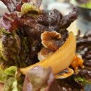 문경참미나리 미돈가 이미지