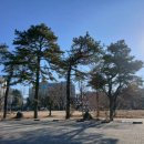 남지약국 이미지